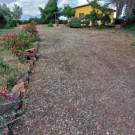 Agriturismo I 13 Pini Di Putzu Anna Maria Farm stay Giba