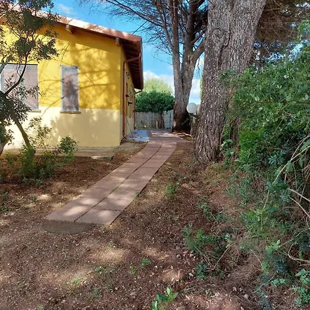 I 13 Pini Di Putzu Anna Maria *